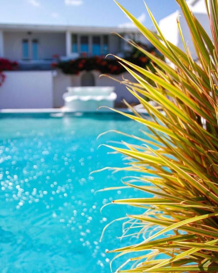 Trade Winds Hotel Dickenson Bay エクステリア 写真