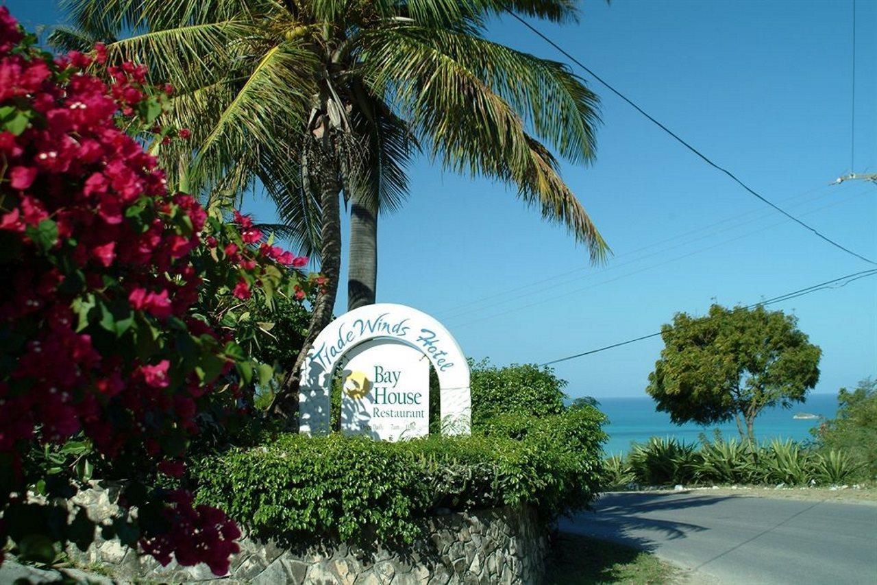 Trade Winds Hotel Dickenson Bay エクステリア 写真