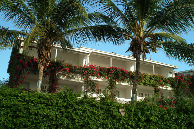 Trade Winds Hotel Dickenson Bay エクステリア 写真