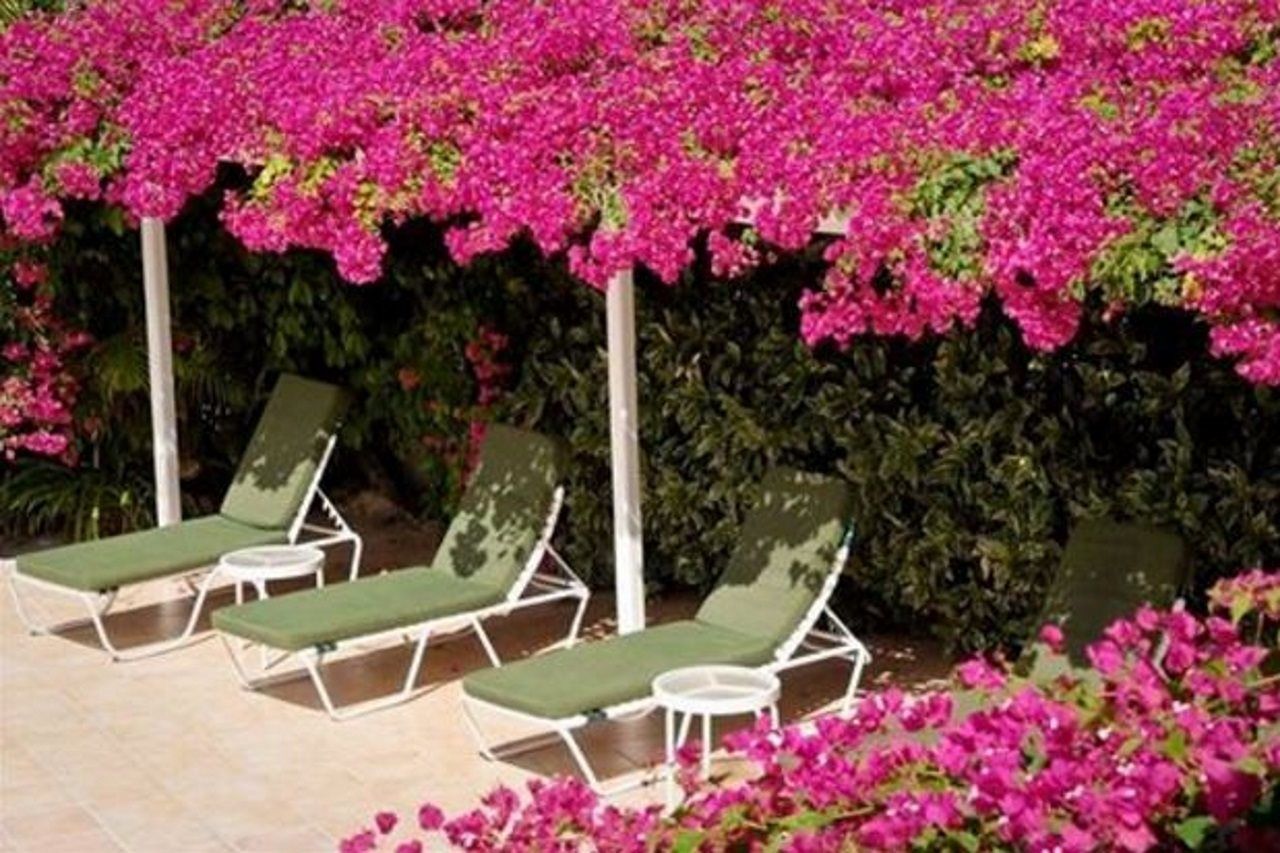 Trade Winds Hotel Dickenson Bay エクステリア 写真