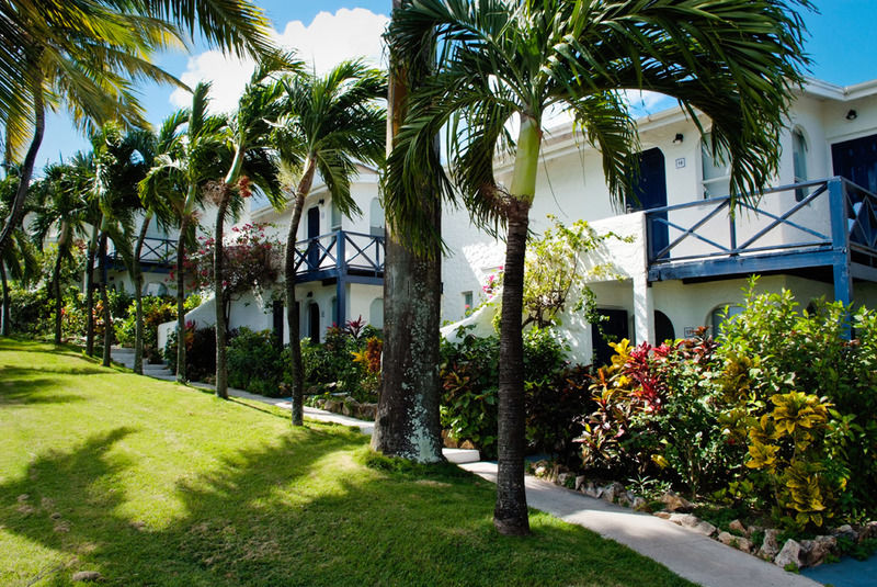 Trade Winds Hotel Dickenson Bay エクステリア 写真