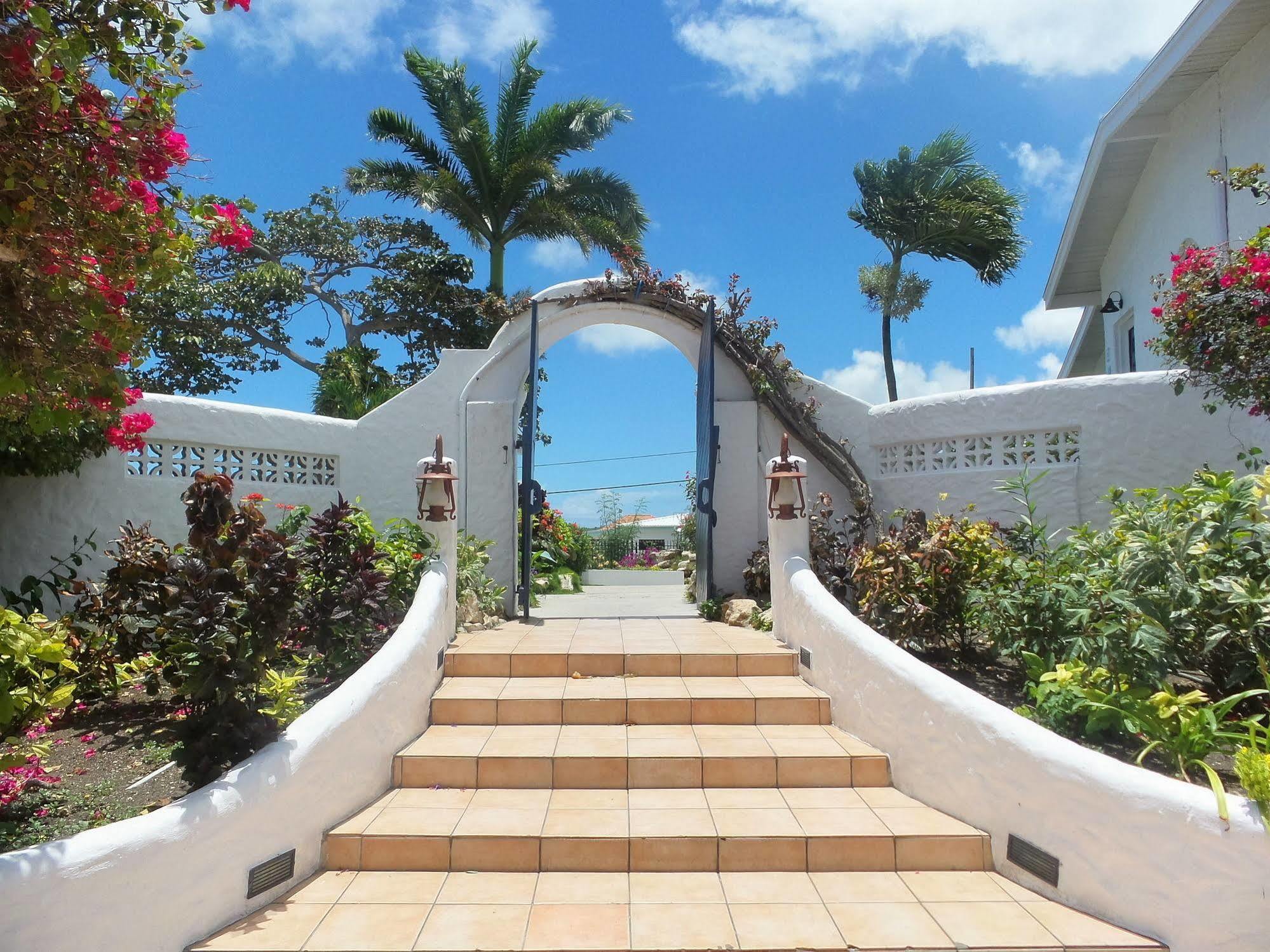 Trade Winds Hotel Dickenson Bay エクステリア 写真