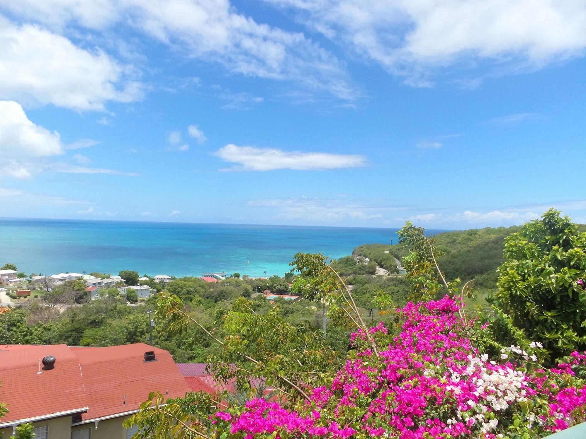 Trade Winds Hotel Dickenson Bay エクステリア 写真